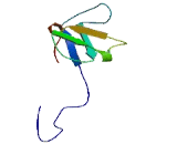 Sorbin And SH3 Domain Containing Protein 1 (SORBS1)