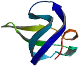 Sorbin And SH3 Domain Containing Protein 3 (SORBS3)