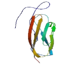 Sortilin Related VPS10 Domain Containing Receptor 1 (SORCS1)