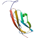 Sortilin Related VPS10 Domain Containing Receptor 2 (SORCS2)