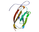 Sortilin Related VPS10 Domain Containing Receptor 3 (SORCS3)