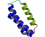 Sorting Nexin 15 (SNX15)