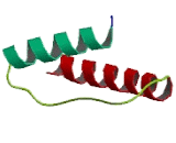 Sorting Nexin 21 (SNX21)