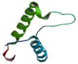 Sorting Nexin 4 (SNX4)