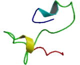 Source Of Immunodominant MHC Associated Peptides (SIMP)