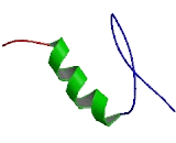 Specificity Protein 2 (SP2)