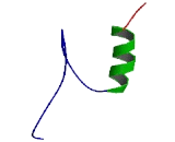 Specificity Protein 5 (SP5)