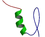 Specificity Protein 8 (SP8)