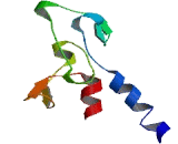 Zinc Finger, FYVE Domain Containing Protein 26 (ZFYVE26)