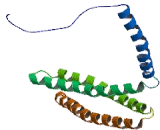 Spectrin Alpha 1, Erythrocytic (SPTa1)