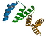 Sperm Associated Antigen 1 (SPAG1)