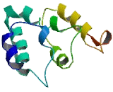 Sperm Associated Antigen 11B (SPAG11B)