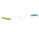 Sperm Associated Antigen 17 (SPAG17)