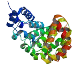 Sperm Associated Antigen 6 (SPAG6)