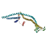 Sperm Associated Antigen 9 (SPAG9)