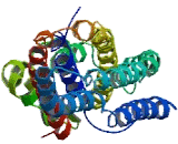 Sperm Equatorial Segment Protein 1 (SPESP1)