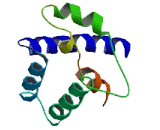 Sperm Protein Associated With The Nucleus, X-Linked Family, Member B1 (SPANXB1)