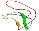 Sperm Protein Associated With The Nucleus, X-Linked Family, Member C (SPANXC)