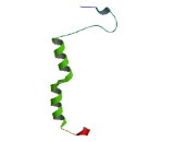 Sperm Protein Associated With The Nucleus, X-Linked Family, Member N1 (SPANXN1)