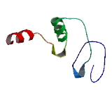 Sperm Protein Associated With The Nucleus, X-Linked Family, Member N4 (SPANXN4)