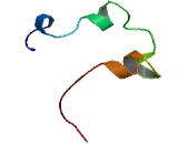 Sperm Protein Associated With The Nucleus, X-Linked Family, Member N5 (SPANXN5)