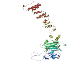 Sperm Specific Antigen 2 (SSFA2)