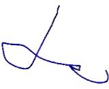 Spermatid Maturation Protein 1 (SPEM1)