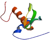 Spermatid Perinuclear RNA Binding Protein (STRBP)