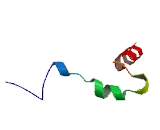 Spermatogenesis And Oogenesis Specific Basic Helix Loop Helix 1 (SOHLH1)