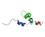 Spermatogenesis And Oogenesis Specific Basic Helix Loop Helix 2 (SOHLH2)