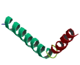 Spermatogenesis Associated Protein 1 (SPATA1)