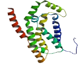 Spermatogenesis Associated Protein 24 (SPATA24)