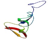 Spermatogenesis Associated Protein 3 (SPATA3)