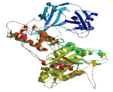 Spermatogenesis Associated Protein 5 Like Protein 1 (SPATA5L1)