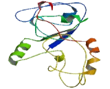 Spermatogenesis Associated Protein 6 (SPATA6)