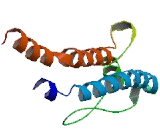 Spermatogenesis Associated Protein 7 (SPATA7)