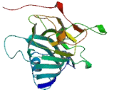 Spermatogenesis Associated Protein 9 (SPATA9)