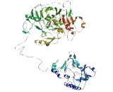 Sphingomyelin Phosphodiesterase 4 (SMPD4)