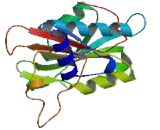 Sphingosine 1 Phosphate Lyase 1 (SGPL1)