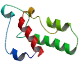 Sphingosine-1-Phosphate Phosphatase 1 (SGPP1)