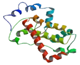 Sphingosine-1-Phosphate Phosphatase 2 (SGPP2)