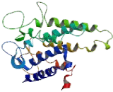 Sphingosine 1 Phosphate Receptor 1 (S1PR1)