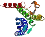 Sphingosine 1 Phosphate Receptor 2 (S1PR2)