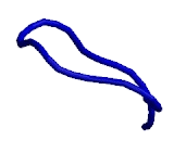 Sphingosine 1 Phosphate Receptor 4 (S1PR4)