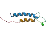 Sphingosine 1 Phosphate Receptor 5 (S1PR5)