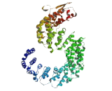 Sphingosine Kinase Type 1 Interacting Protein (SKIP)