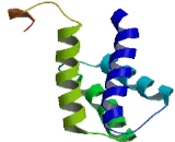 Spindle And Centriole Protein (SPICE)