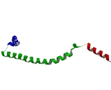 Spindle And Kinetochore Associated Complex Subunit 1 (SKA1)