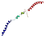 Spindle And Kinetochore Associated Complex Subunit 2 (SKA2)