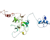 Spindle And Kinetochore Associated Complex Subunit 3 (SKA3)